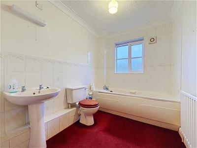 Picture 12